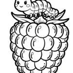 coloriage Framboise pour enfant