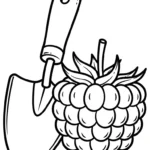 image pour coloriage Framboise enfant
