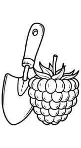 image pour coloriage Framboise enfant