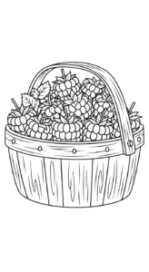 imprimer coloriage Framboise gratuit