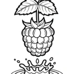 coloriage Framboise gratuit pour enfants