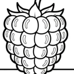 coloriage Framboise à imprimer pour enfant de 12 ans