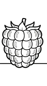 coloriage Framboise à imprimer pour enfant de 12 ans
