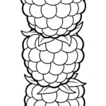 coloriage Framboise a imprimer pour enfant de 4 ans