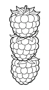 coloriage Framboise a imprimer pour enfant de 4 ans