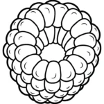 coloriage Framboise à imprimer pour enfant de 6 ans