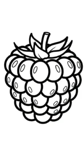 coloriage Framboise pour enfant gratuit