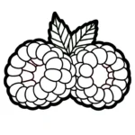 coloriage Framboise à imprimer pour enfant de 6 ans