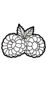 coloriage Framboise à imprimer pour enfant de 6 ans