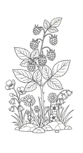 coloriage Framboise à imprimer gratuit