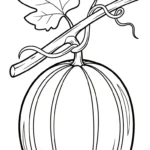 coloriage Melon Yubari a dessiner en ligne