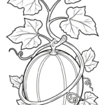 coloriage Melon Yubari d