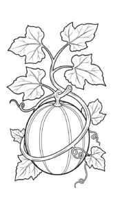coloriage Melon Yubari d