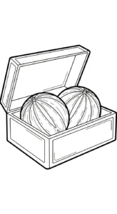 coloriage Melon Yubari educatif pour enfant