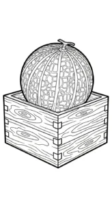 coloriage Melon Yubari pour enfant de 8 ans
