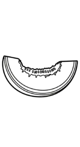 coloriage Melon Yubari à imprimer gratuit