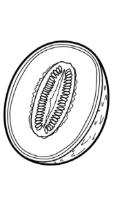 coloriage Melon Yubari pour enfants a imprimer gratuit