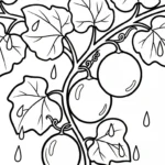 coloriage Melon Yubari à imprimer pour enfant de 4 ans