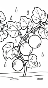 coloriage Melon Yubari à imprimer pour enfant de 4 ans