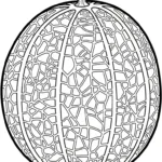 coloriage Melon Yubari d