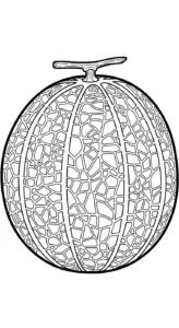 coloriage Melon Yubari d