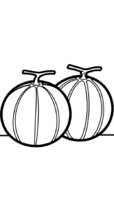 coloriage Melon Yubari et apprentissage