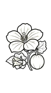 coloriage Melon Yubari pour enfant de 4 ans