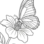 image pour coloriage Melon Yubari enfant