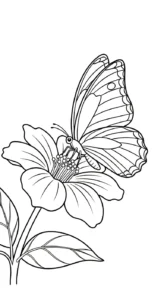 image pour coloriage Melon Yubari enfant