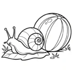 coloriage Melon Yubari pour enfant a imprimer gratuit