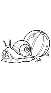 coloriage Melon Yubari pour enfant a imprimer gratuit